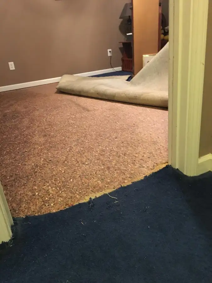 Carpet pad removal revealing water damage during Water Mitigation Services in Carmel