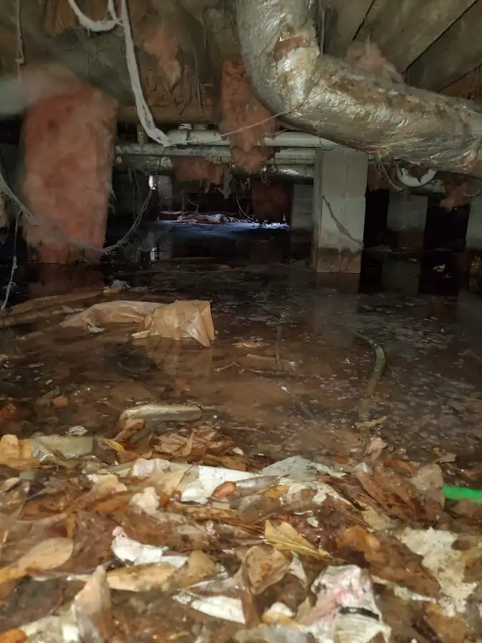 Crawl space flood assessment for Leak Detection & Repair in Carmel