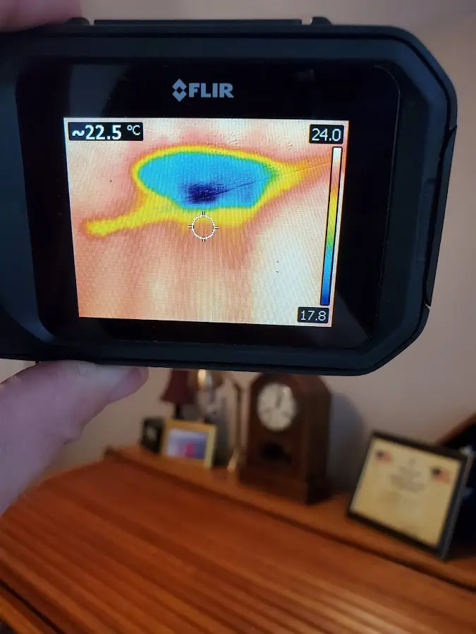 Thermal imaging inspection for water damage in Carmel