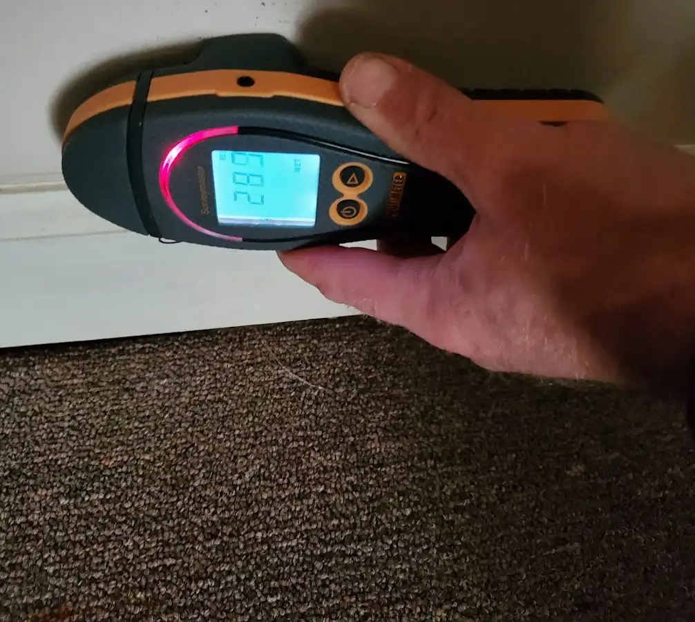 Moisture detection at baseboard during Sewage Cleanup & Sanitation in Carmel